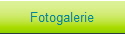 Fotogalerie