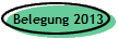 Belegung 2013